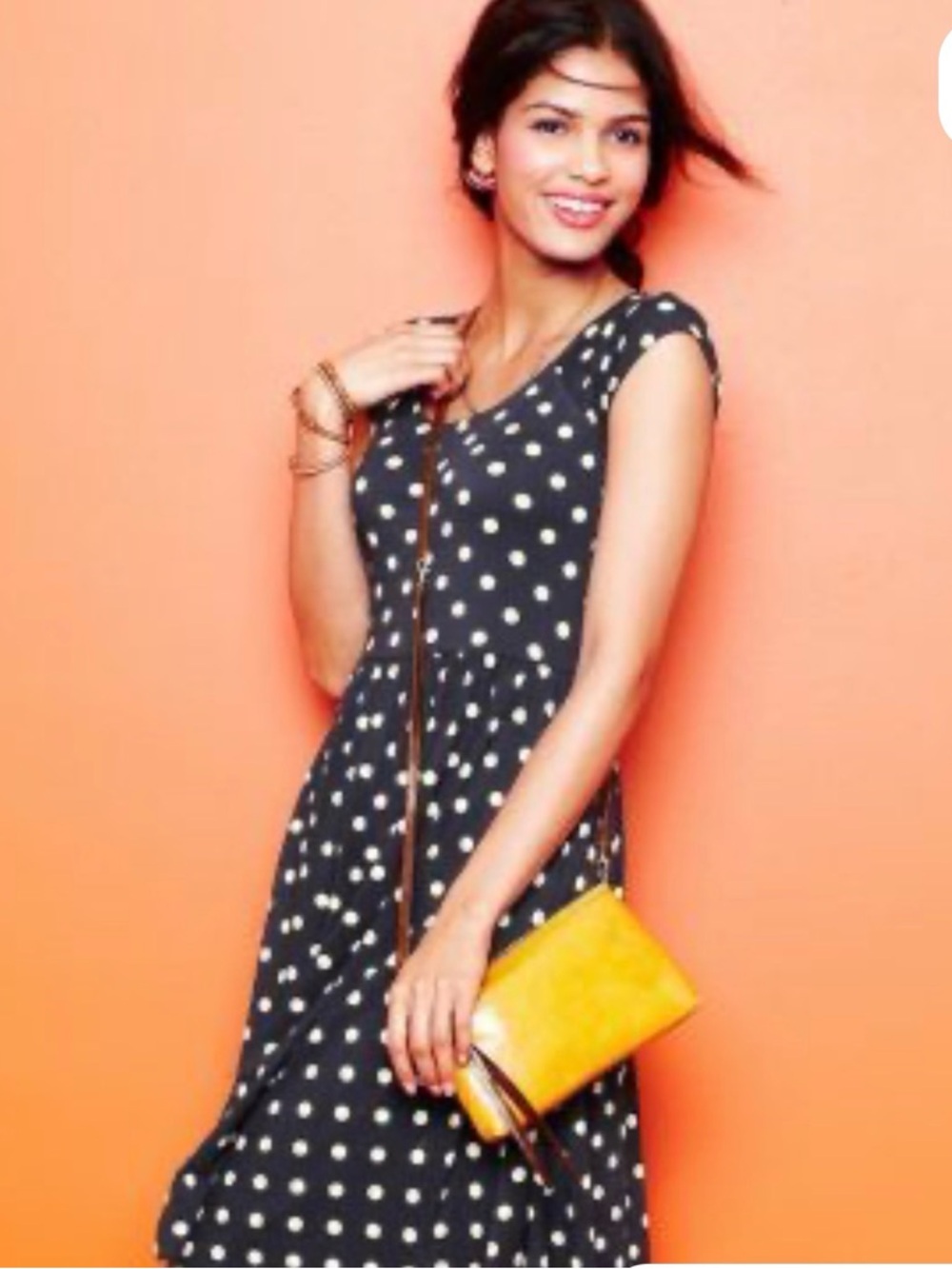 Garnet Hill Polka Dot Lined Dress 14